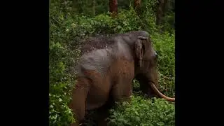 World Environment Day 2023