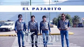Maroyu ▶ Pajarito ✅ ♪ ♫