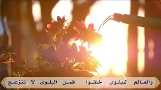 ستأتي أفراحُ الفرَجِ | عامر عطايا