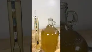 Clear AS GLASS Mead! ✨🥂 #homebrewing   #brewedition #science #alcoholicbeverage #soda #honey