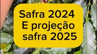 Safra de caf&eacute; 2024 e proje&ccedil;&atilde;o para 2025