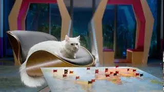 Whiskas K.I.T Cat Nutrition and Behaviour