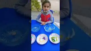 Interactive Learning Activity at Research School Burewala  Hands-On Education Experience