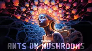 MindB - Ants on Mushrooms (Official Music Video)