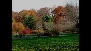 Notturno -Franz Schubert -Andreas Haefliger piano -LienNhu