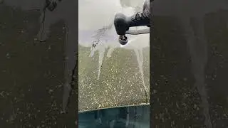 Pressure washing moss off the roof of a car. #asmr #Waxmanoftristate