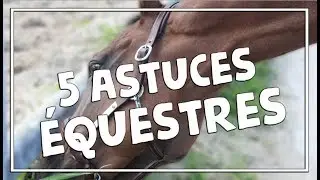 5 ASTUCES ÉQUESTRES #1