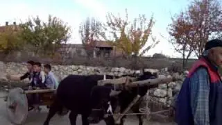 aşağı fındıklı köyü