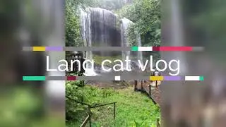 Ngardmau Waterfalls escapade
