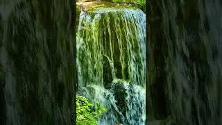 Nature et cascade #alsace #balades #nature #randonn&eacute;e #love #cascade #cascademountains#naturebeauty