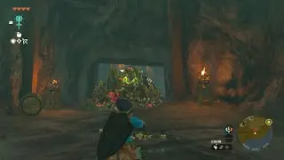 Invade the Lockup in TOTK to Get Royal Hyrulean Fabric