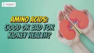 Can You Take Amino Acids in Kidney Disease? | Risks & Expert Advice
