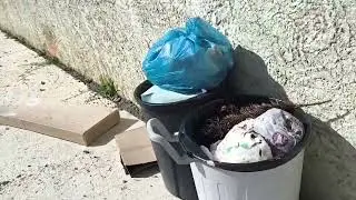 Segunda feira reciclando 