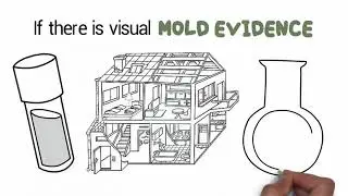 Central Florida Mold Inspections