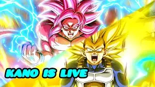 LR DAIMA SSJ4 GOKU & SSJ3 VEGETA ARE BROKEN! NEW RED ZONE STAGES! [DBZ: DOKKAN BATTLE]