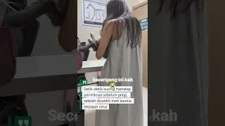 kucing mati! Kucing menatap majikanya setelah disuntik mati karena terkena virus!
