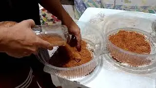 Fizemos um formigueiro caseiro eu e meu pai