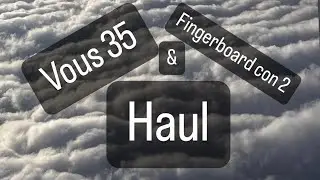 Vous 35 and Fingerboard Con #2 Haul Video