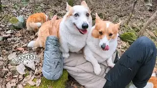 아빠가 산 속에서 쓰러지면 생기는 일 ㅋㅋㅋ