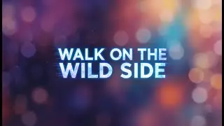 Nightcore—WALK ON THE WILD SIDE || Emotional Love Song || New (Official Lyrics) Song | New Song 2025