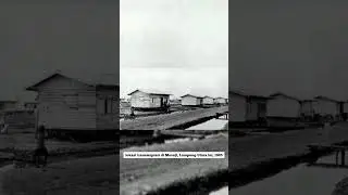 lokasi transmigrasi di Mesuji, Lampung Utara ini, 1985