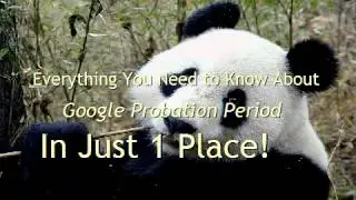 Google Probation Period - Jumping over the Google Sandbox with this Google Penalty Recovery Method