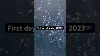 Officially the spring is here | First day of spring 2023 Australia #season #spring #shorts