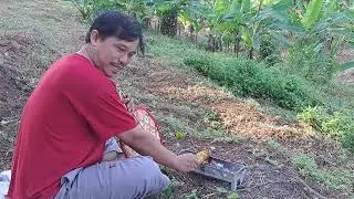 Bumi perkemahan alas Suko, Trawas Mojokerto.