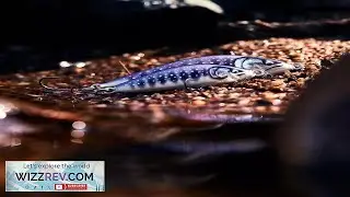Rapala Countdown Elite Lures Pike Perch Chub Salmon Sea Trout Fishing Review