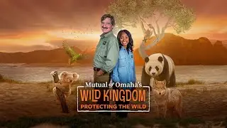 Mutual of Omaha&rsquo;s Wild Kingdom Protecting the Wild Season 3 Trailer