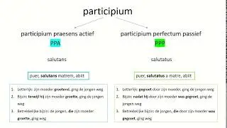 Latijnse grammatica: uitleg participium
