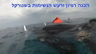 אלמנטים שקמונה