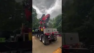 Emergency Storm Mitigation with Pro-Tree