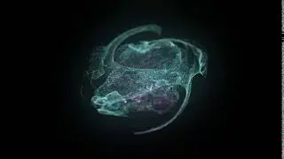 simple nebula in Adobe After Effects by ❧Dal&fnof;
