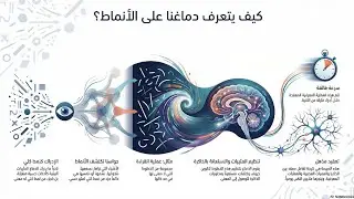 علم النفس المعرفي 3 التعرف على النمط 