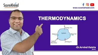 1 Revision Thermo +2