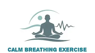 Nervous System Reset