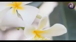 #ذبول
