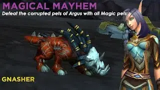 Gnasher - Magic team