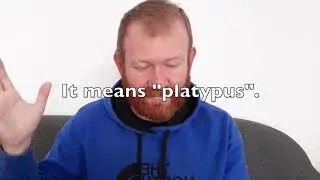 Cómo usar MEAN en inglés - ¡6 significados!