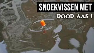 Vissen met DOOD AAS op Snoek ! DEEL 1 - DWFishingteam