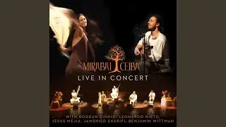 Despierta (Live in Concert)