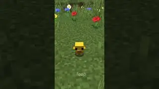 MINECRAFT NEW BABY MOBS 🐔