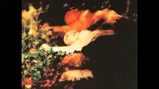 Jarboe - Ascending Now