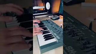 Roland SH 101 Synth Bass #roland #synthbass #shorts