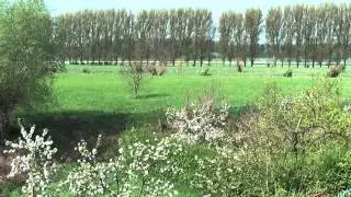 Ein Fr&uuml;hlingstag in D&uuml;sseldorf Urdenbach