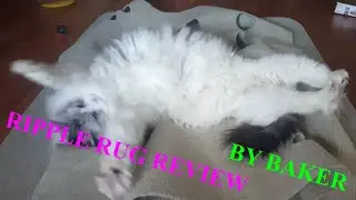 Ripple Rug Review
