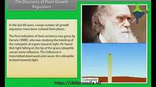 Plant Growth And Development || Class 11 Biology || पौधे की वृद्धि और विकास || जीव विज्ञान