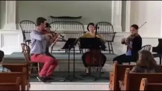 The Argus String Quartet!