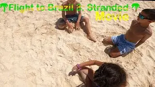 Flight to Brazil 3: Stranded - Movie (Dynamite Original)
